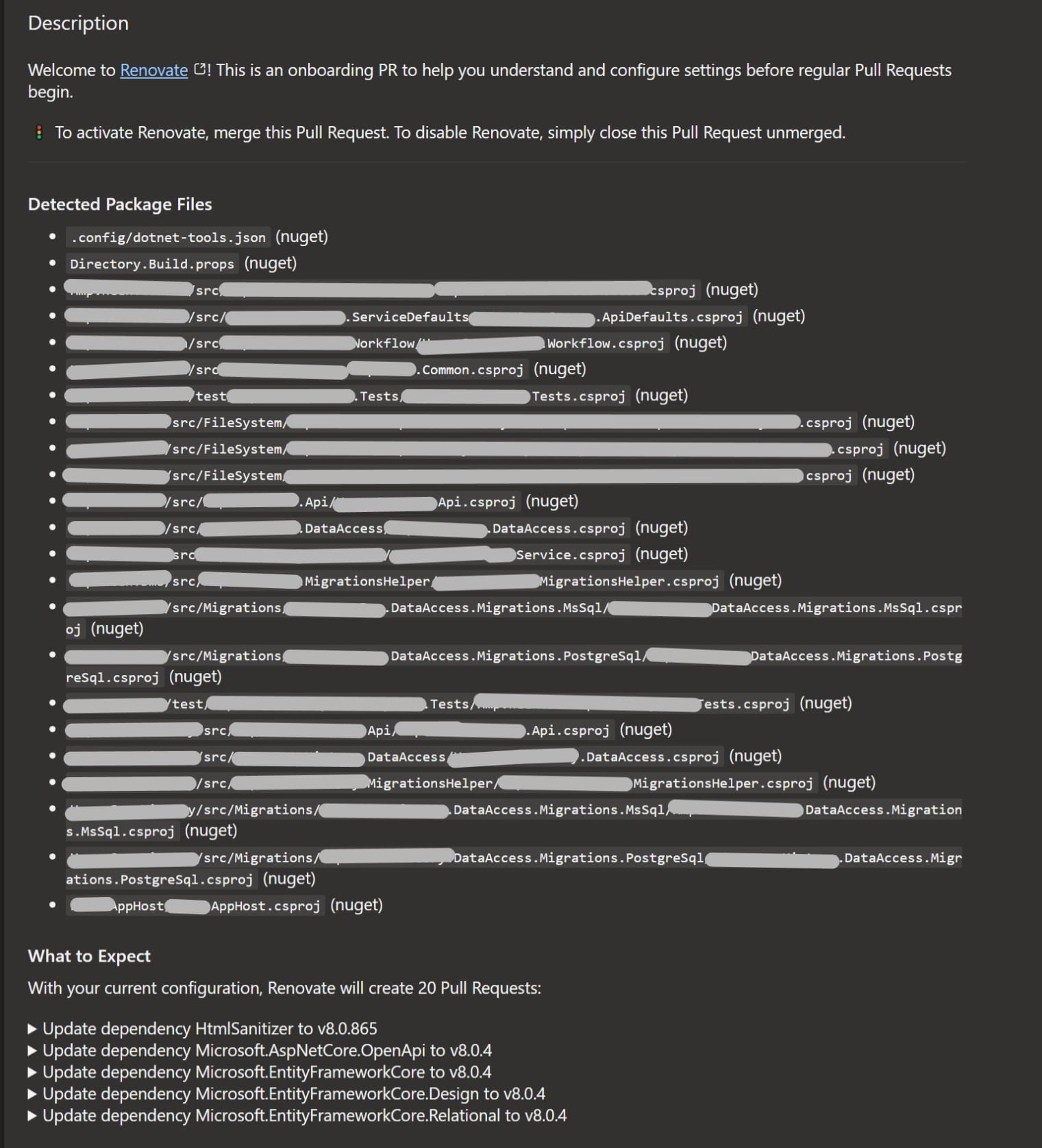 Renovate first pullrequest overview