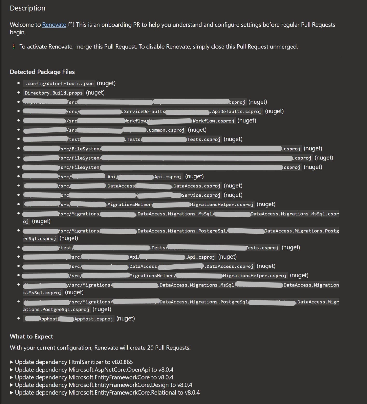 Renovate first pullrequest overview